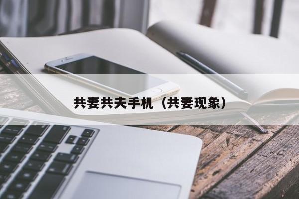 共妻共夫手机（共妻现象）