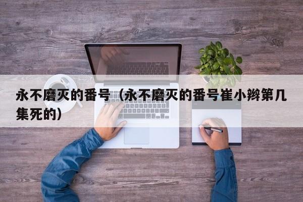 永不磨灭的番号（永不磨灭的番号崔小辫第几集死的）